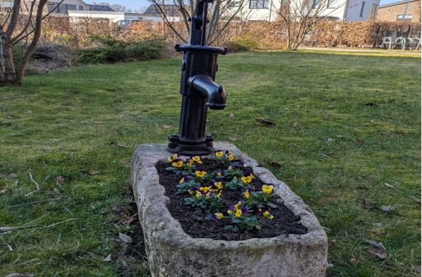 Der Frühling zieht ein 1