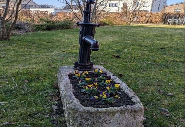 Der Frühling zieht ein 1